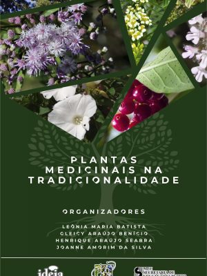 PLANTAS MEDICINAIS NA TRADICIONALIDADE - LEÔNIA MARIA BATISTA, GLEICY ARAÚJO BENÍCIO, HENRIQUE ARAÚJO SEABRA, JOANNE AMORIM DA SILVA