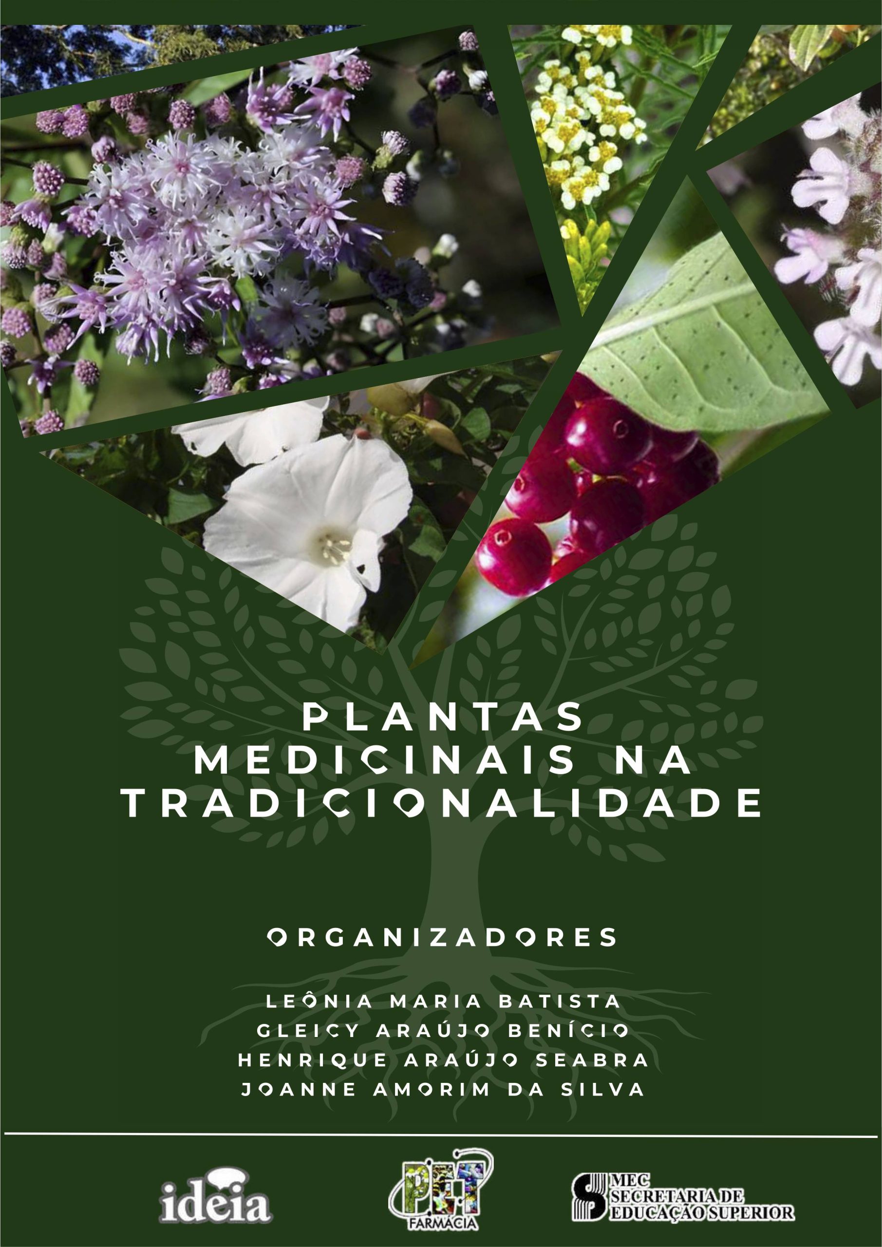 PLANTAS MEDICINAIS NA TRADICIONALIDADE - LEÔNIA MARIA BATISTA, GLEICY ARAÚJO BENÍCIO, HENRIQUE ARAÚJO SEABRA, JOANNE AMORIM DA SILVA